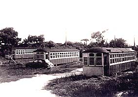 Fremantle Tram 29